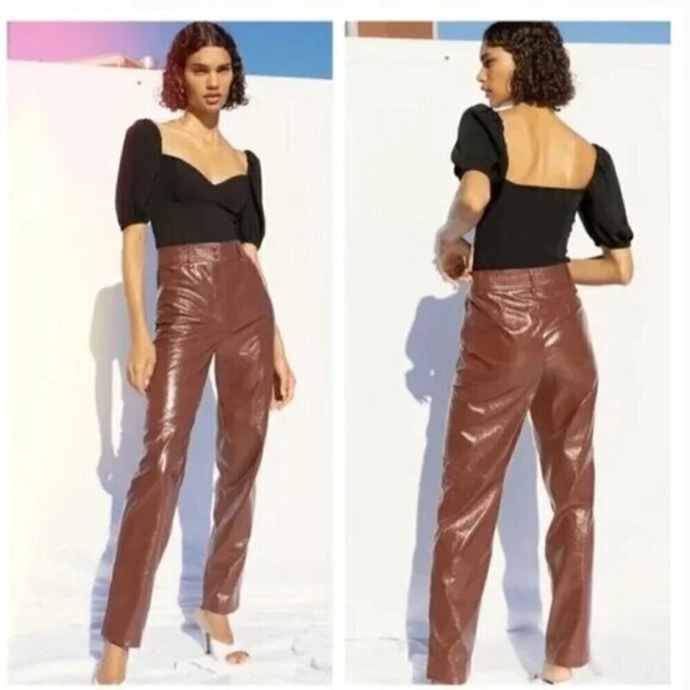 Aritzia Wilfred Faux Glossy Vinyl Leather Funk Pant in Rustique Size 2